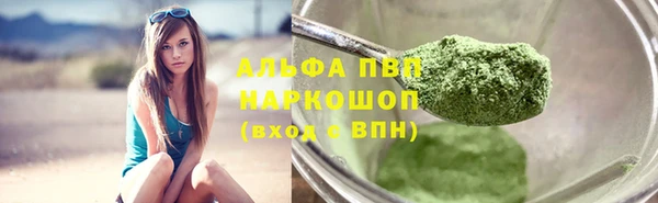 крисы Аркадак