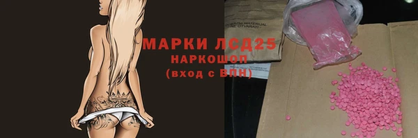 крисы Аркадак