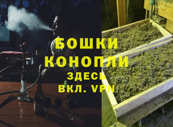 крисы Аркадак