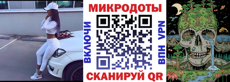 Купить  Далматово  Псилоцибиновые грибы Magic Shrooms 